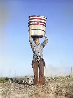 Spinach: Boy - migrant worker - agriculture - migratory labour camp
