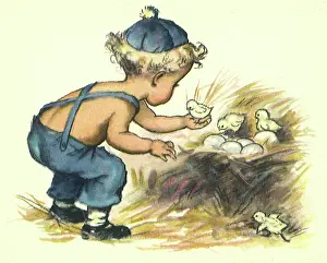 Hatched: Boy and Nest of Chicks