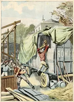 Zoos: BOY AND PANTHER