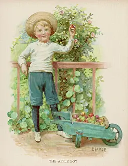 Picks: BOY PICKING APPLES