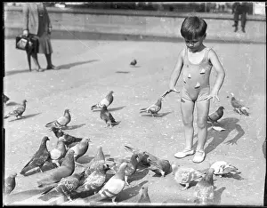 Sandles: BOY WITH PIGEONS
