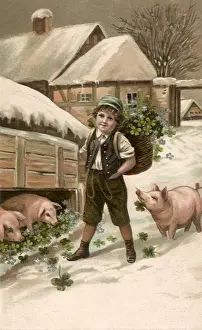 Wallowing: Boy and Pigs in Winter