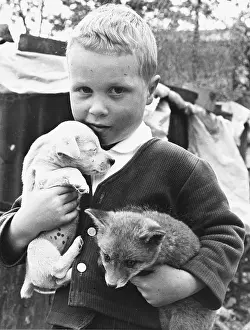 Cuddles: Boy, puppy and fox