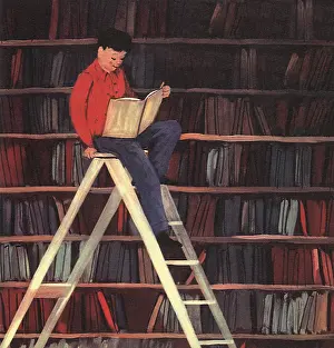 Homework: Boy Reading in Library