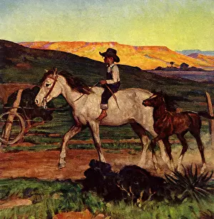 Trotting: Boy Riding Horse
