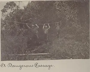Mauritius: Boy scouts on a rope bridge, Mauritius
