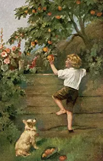 Misbehaviour: BOY SCRUMPING APPLES