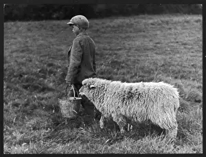 Carring: BOY AND SHEEP
