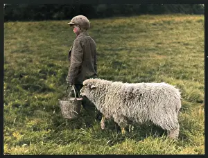 Carring: BOY AND SHEEP