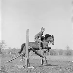 Showjumping: Boy Showjumping