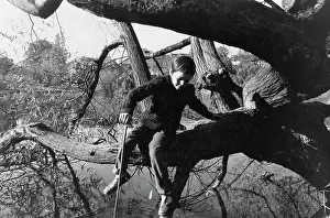 Boy sitting in a tree by the waterside