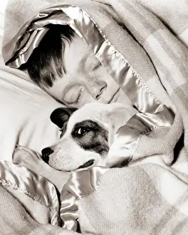 Preteen: Boy Sleeping Under Blanket in Bed with Best