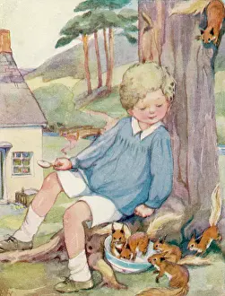 Bookshop On The Heath Collection: Boy and squirrels