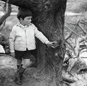 Anorak: Boy standing by a tree trunk