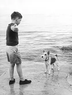Retrieve: BOY THROWING FOR DOG