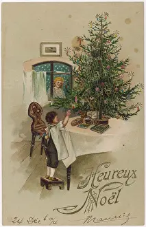 Kindly: Boy and Tree