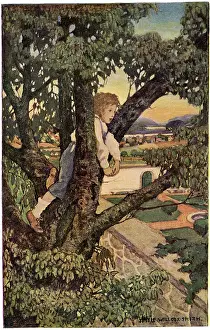 Willcox: Boy in a Tree