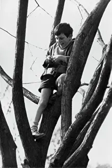 Anorak: Boy in a tree laughing