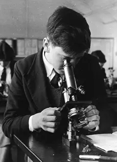 Lingfield: BOY USING MICROSCOPE
