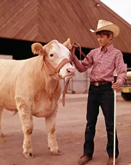 Yearling: Boy And His Winning Bull