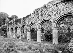 Details: Boyle Abbey, Co Roscommon