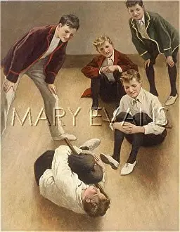 Shirley Evans: BOYS COCK-FIGHTING