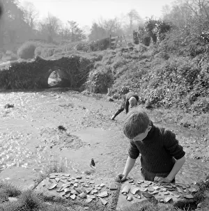 Bembridge: Boys collecting pottery pieces