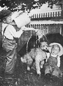 Sheltering: Two boys and a dog