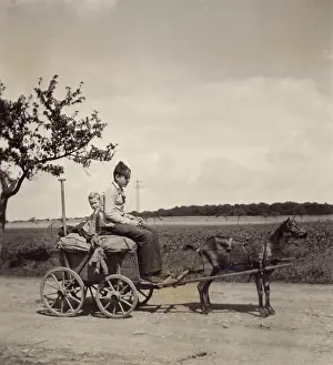 The Kathy Butler Collection: Two boys on dog-drawn cart