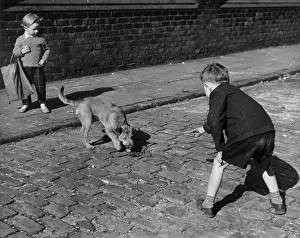 Cobblestones: Two boys and a dog, Hulme, Manchester