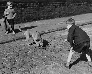 Cobblestones: Two boys and a dog, Hulme, Manchester