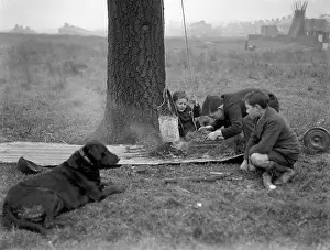 Barnabys: Three boys and a dog on wasteland