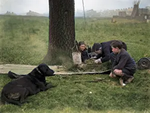 Barnabys: Three boys and a dog on wasteland