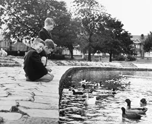 BOYS FEEDING BIRDS
