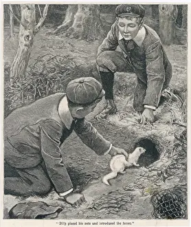 Ferret: BOYS FERRETING