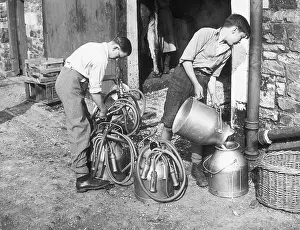 Udder: BOYS HELP WITH MILKING