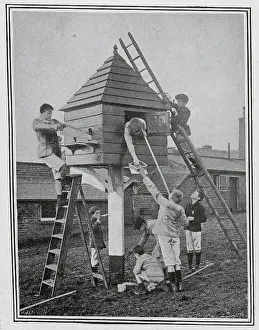 Loft: Boys making a pigeon loft