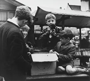 Cardboard: Boys at an open air book stall
