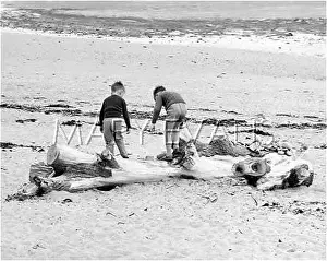 Chopped: BOYS PLAY ON A BEACH