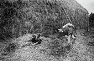 The Japics Historic Image Collection: Two boys playing near a haystack