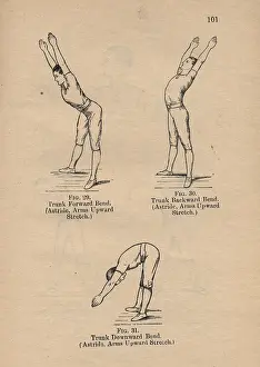 Syllabus: Boys PT exercises from A Syllabus of Physical Exercises