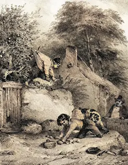 BOYS STEAL APPLES