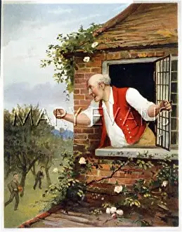 Scrumping: BOYS STEALING APPLES