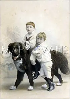 Evanss: BOYS WITH STUFFED DOG
