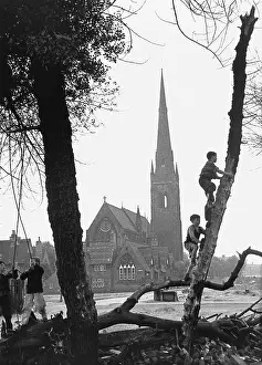 Wasteland: Boys swing on and climb trees in Manchester