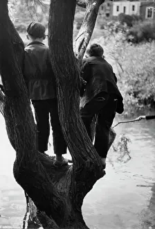Overhanging: Two boys in a tree overhanging a pond