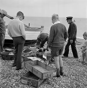 Fishermens: Boys Watching Fishermen