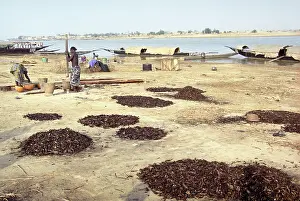 Niger: Bozo people, 1999