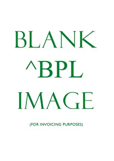 Barnaby: BPL - Placeholder Image for Invoicing purposes