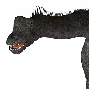 Brachiosaurus: Brachiosaurus dinosaur head